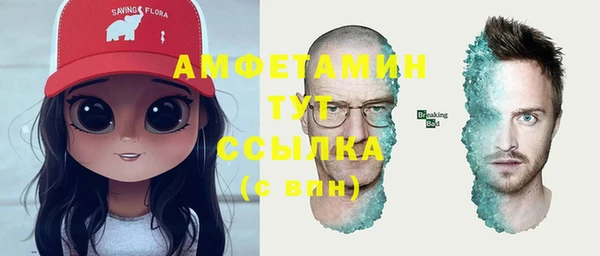 прущие грибы Богородск