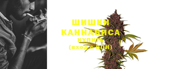 MESCALINE Елизово