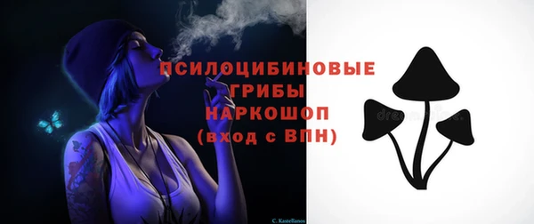 гидропоника Богородицк