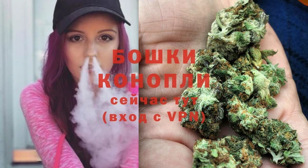 прущий лед Богданович