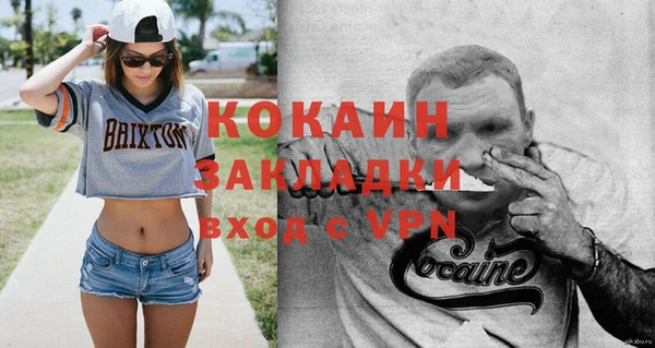 прущий лед Богданович