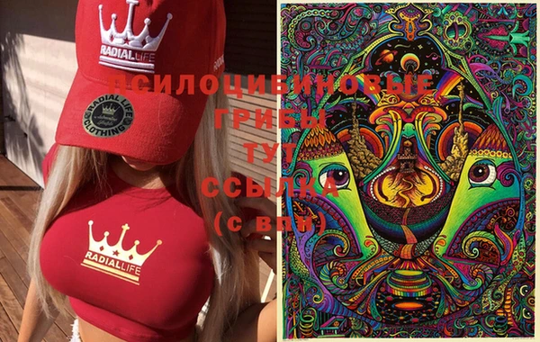 экстази Белокуриха