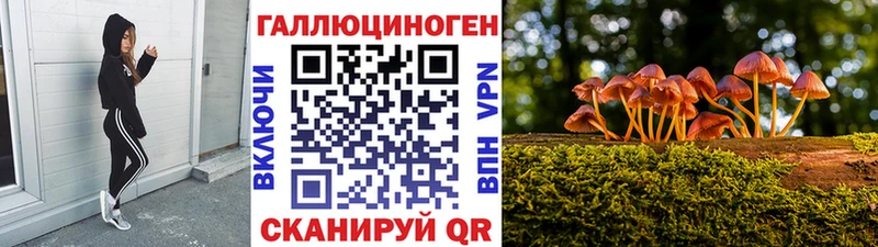 Псилоцибиновые грибы Cubensis  Олёкминск 